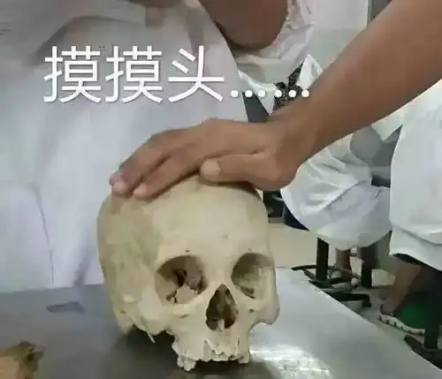 大学最容易单身的5个专业
