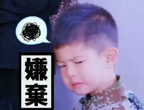 爸爸4萌娃嘟嘴吐舌搞怪表情包大集合,不服来战
