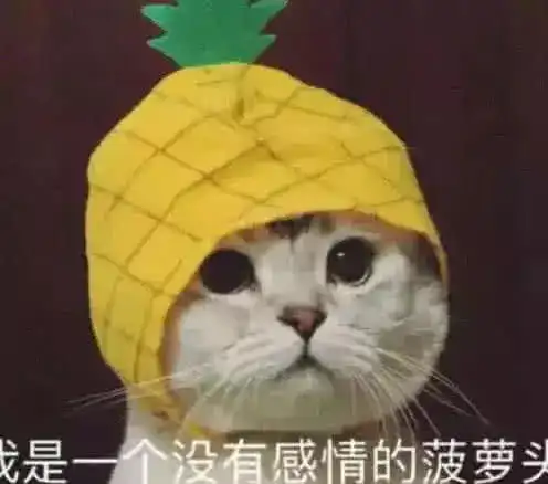 男票敢凶你拿表情包砸他,分分钟给你道歉