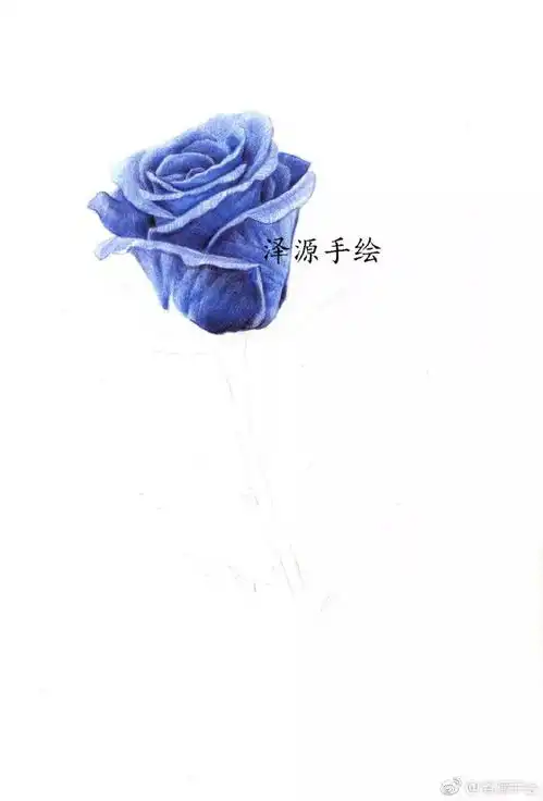 今天你收到玫瑰了吗