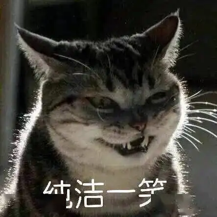热门表情包天气冷有话床上说