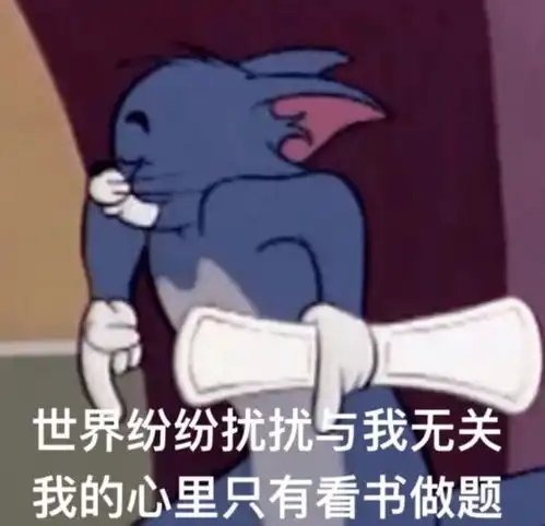 2024,一个深圳小升初家庭的挣扎
