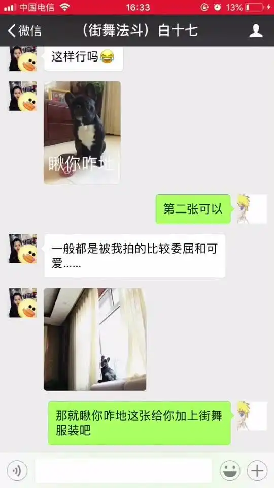 粉丝约稿,法斗表情配上hiphop风格衣服不能再合适敢不敢让我开个长视频权限
