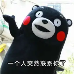 熊本熊一本正经搞笑表情包备胎的自我修养腾牛个性网