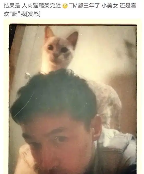 过来人的经验,千万别和养猫的男生谈恋爱