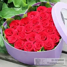33朵玫瑰花束套餐