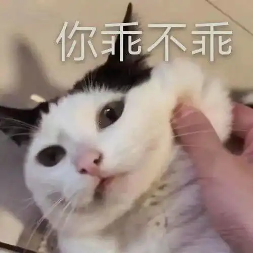 一波好笑的表情包