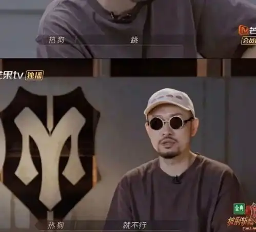 假hiphop热狗在节目里跳舞惨遭网友质疑