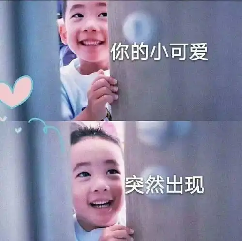 哪个综艺让你想疯狂打call