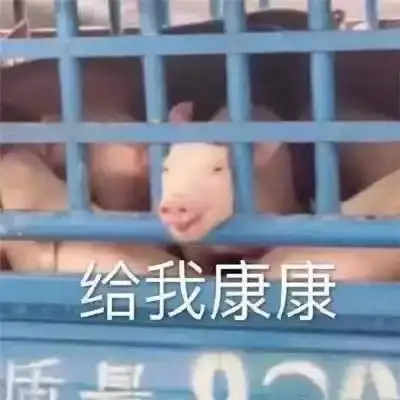 四千年美女鞠婧祎又穿假货被贾玲内涵是最有心机的女孩,从头假到脚