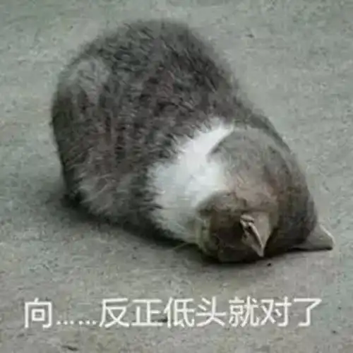 欠薪8个月,急融120亿房地产造车,砸钱是没有终点的起点