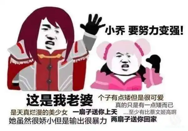 王者荣耀斗图表情包第14期这是我xx人狠话不多