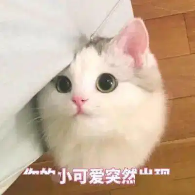 454人份九价疫苗即将开始预约附预约入口