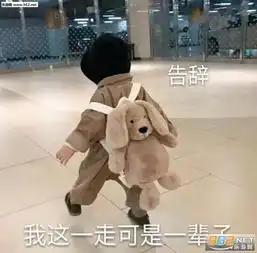 给我也整一个表情包万能表情包可爱图片下载乐游网游戏下载