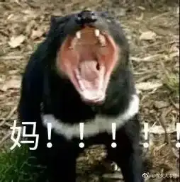 小学生的噩梦来了微信新功能彻底不给孩子们活了