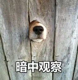 最近火了的暗中观察表情包,各个都很呆萌,女生看了挪不动眼