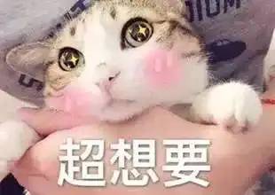 小伙双11剁手五六万元,遭女友分手极度痛苦的他走进医院...