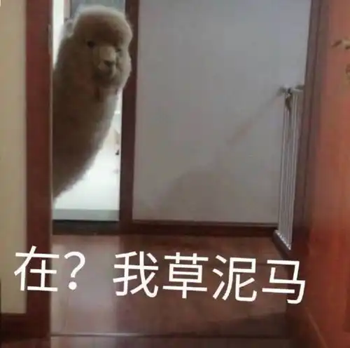 超级适合发朋友圈的搞笑图片和文案