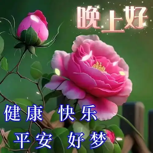 早安图片大全早上好问候语动态表情图片