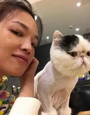 被郑凯拍的苗苗照片美哭,果然素颜才是检验美女颜值的唯一标准