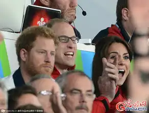 英国威廉哈里王子和凯特王妃观战橄榄球赛表情丰富高清组图