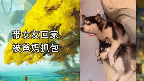 妹子心说,你戏挺多啊那些让人笑到头掉的沙雕gif动态图第39期