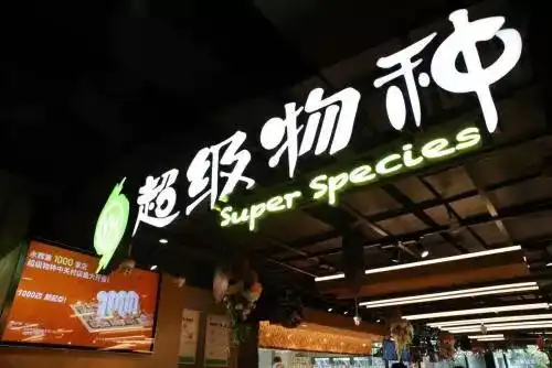 亏损达10亿永辉超市舍弃超级物种叫板盒马鲜生梦碎