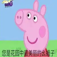 佩奇塑料姐妹花表情包微信头像图片大全