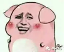 二师兄六钦高速上越狱,可把警察蜀黍忙坏了