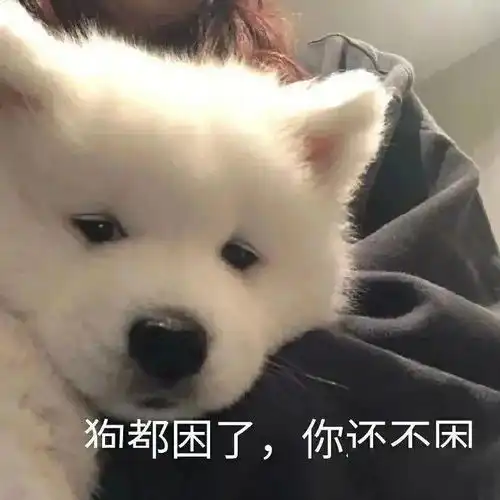 做吗