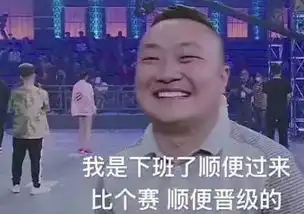 十全大补hiphop丸