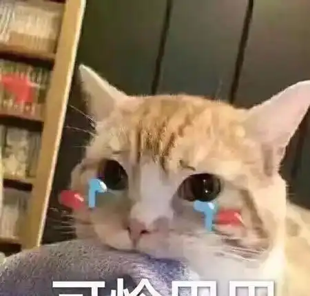 看完这些,你还想养猫吗