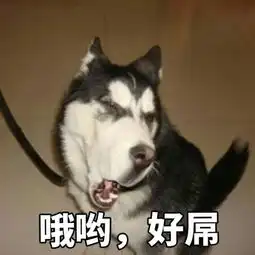 老家的房子因为附近山上,因为镇府在建路还是什么的,天天放炮,房子被震的很多裂缝,有些还很大了