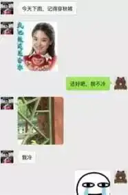 新长安汽车