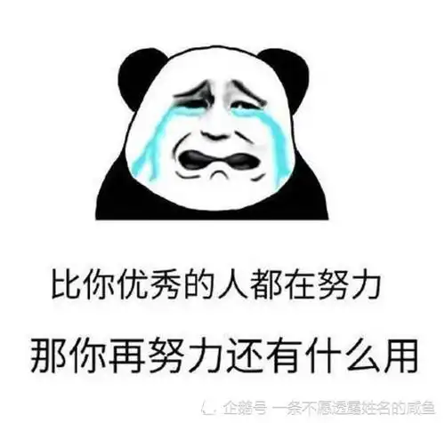 今日笑点看到小侄女,我第一句话就是考的怎么样啊