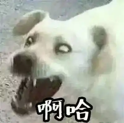 情人节,陪你换情侣头像的才是真爱