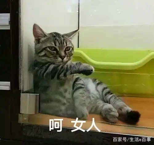 这几只口红色号都是断货王几乎撑起了半个口红界,最值得入