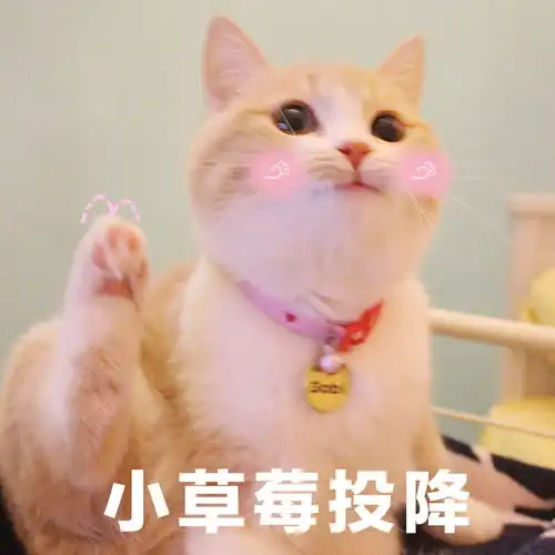 你在小路上走到分叉路,左边是拿着菜刀杀人犯,右边是拿着剑的抢劫犯,你会选择走哪边
