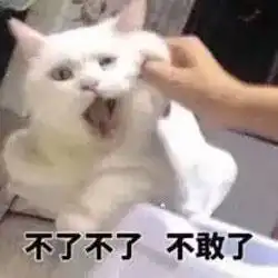 自从有了猫,明显感觉我是充话费送的