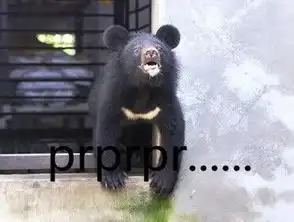 抖音舔狗是什么梗舔狗是什么意思出处介绍