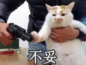 新年新技巧这几种人设可以为你在同学会杀出一条血路