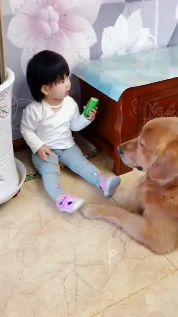 马达猫和大包狗你不给我吃黄瓜,我不给你摸jiojio呵呵塑料姐妹花