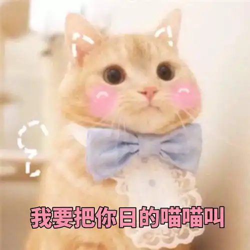 我的收藏