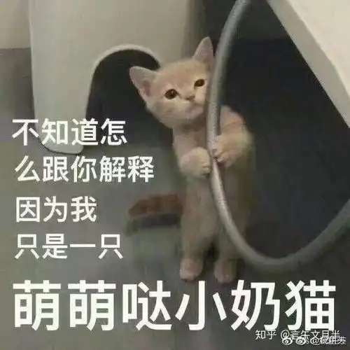 普通人考清北需要多努力