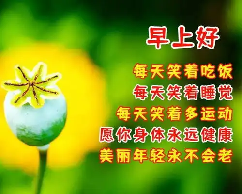 每日早上好祝福语表情带图片清早问候朋友的早上好暖心祝福语