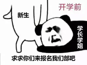 纳新时学长学姐内心真实os