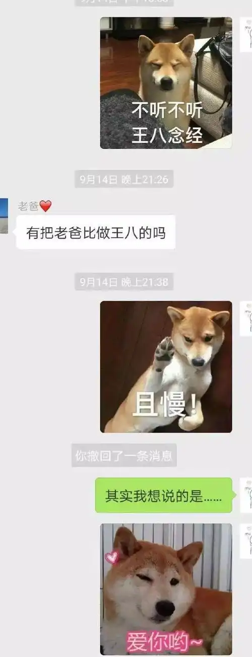 和爸妈聊天千万别发表情包,不然哈哈哈哈哈哈哈哈