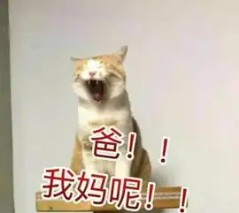 妈妈再打我一次致母上大人
