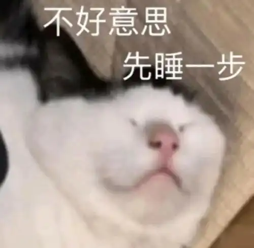 沙雕又可爱的朋友圈文案99.0