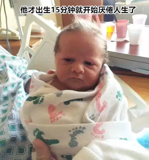 你的房间哪里都是头发桌子上是地板上是床上是,偏偏你头上就不是